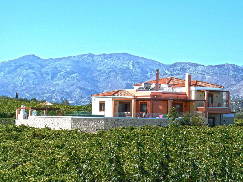 Cretan Vineyard Hill Villa Kato Kalesia Экстерьер фото