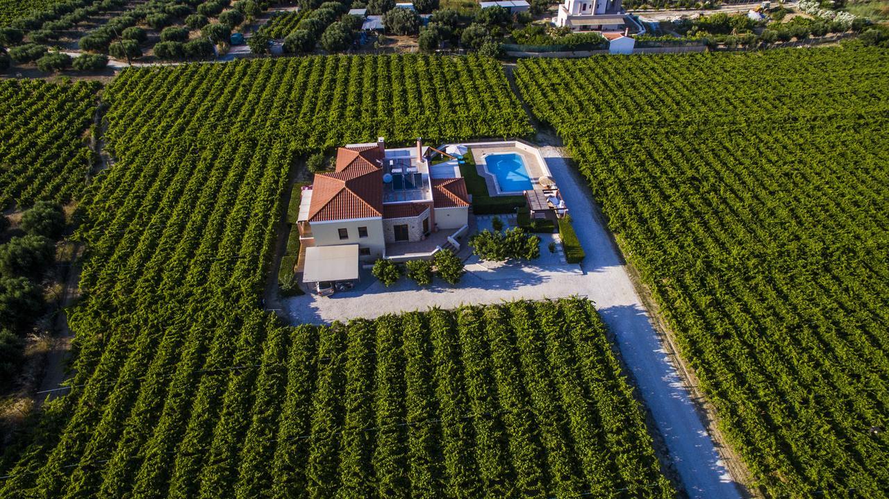 Cretan Vineyard Hill Villa Kato Kalesia Экстерьер фото