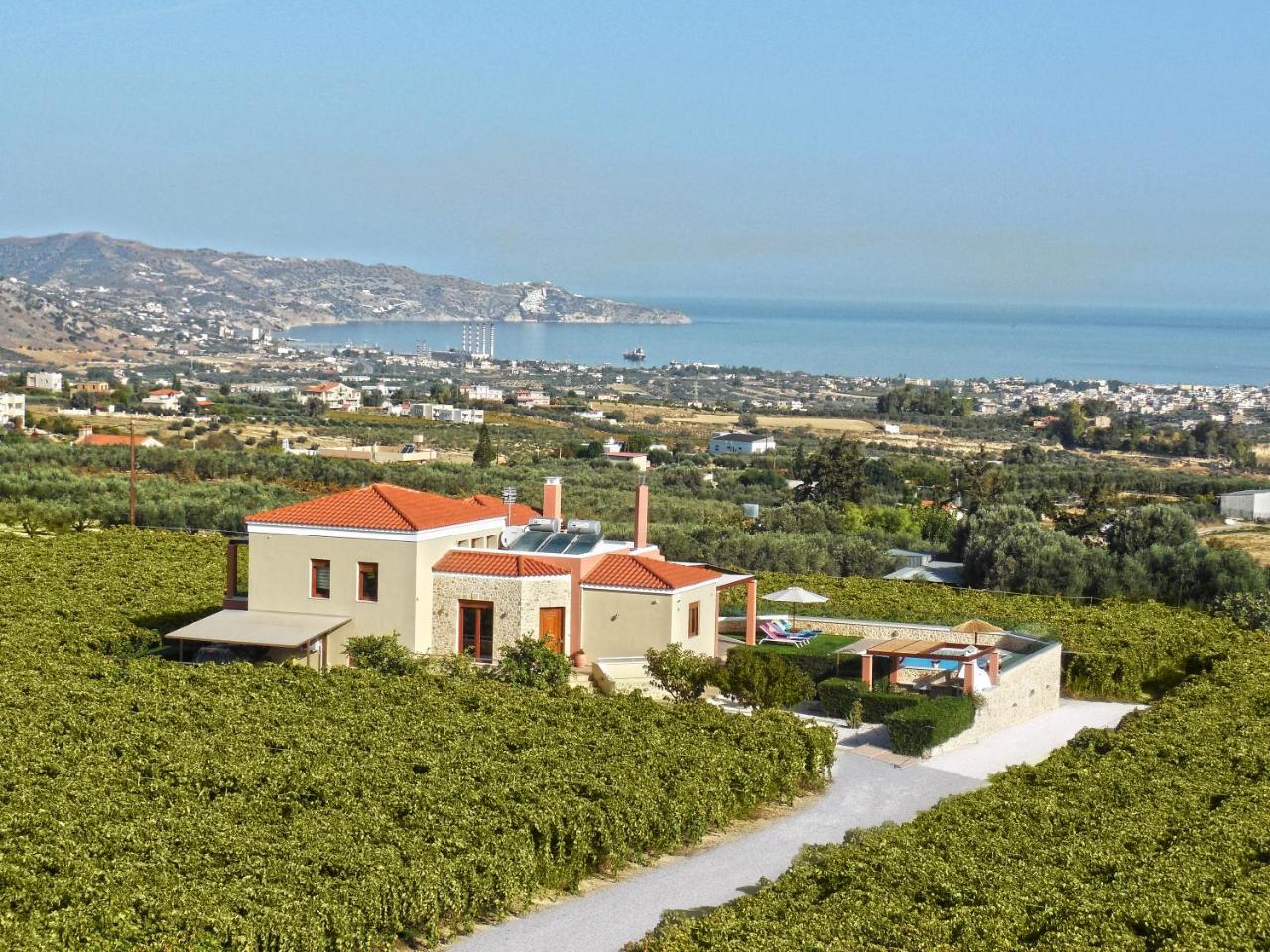 Cretan Vineyard Hill Villa Kato Kalesia Экстерьер фото